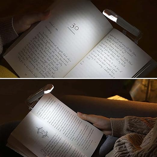Portable LED Clip