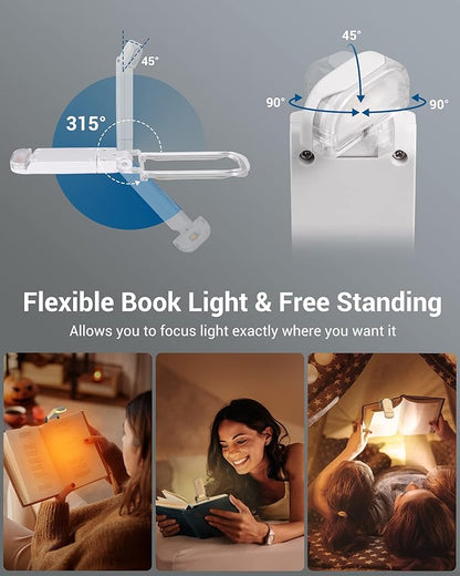 Portable LED Clip